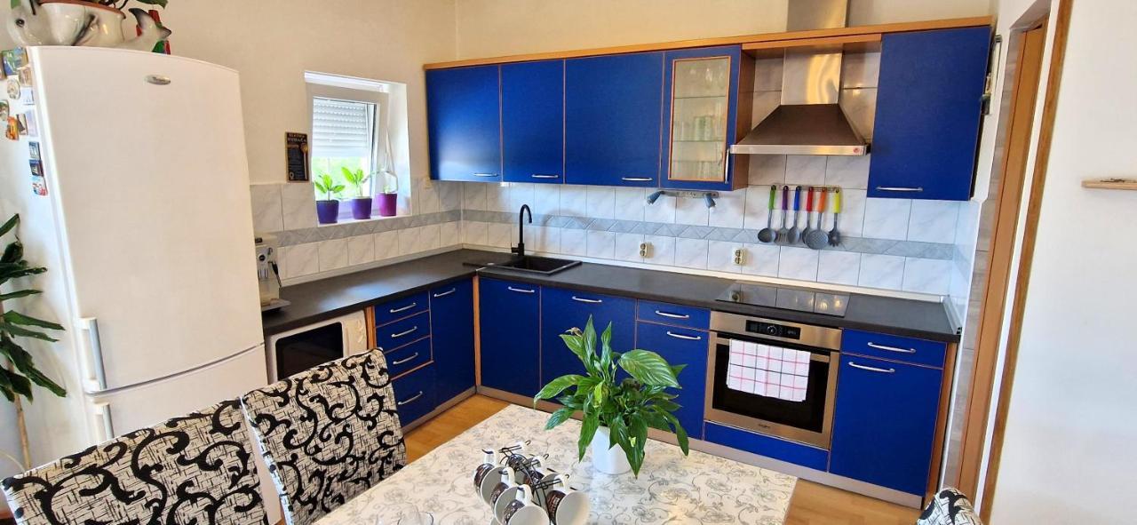 Apartments Pinezic Skrbčići Екстериор снимка